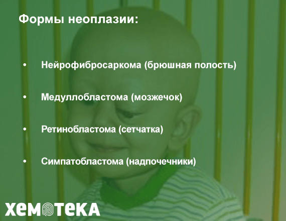Классификация Классификация