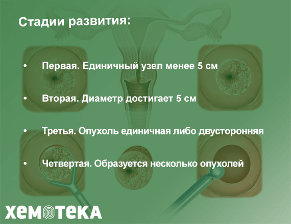 стадии стадии