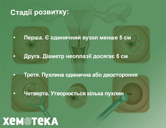 стадії стадії