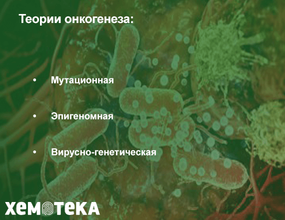 теории онкогенеза теории онкогенеза