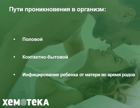 Инфекция Инфекция