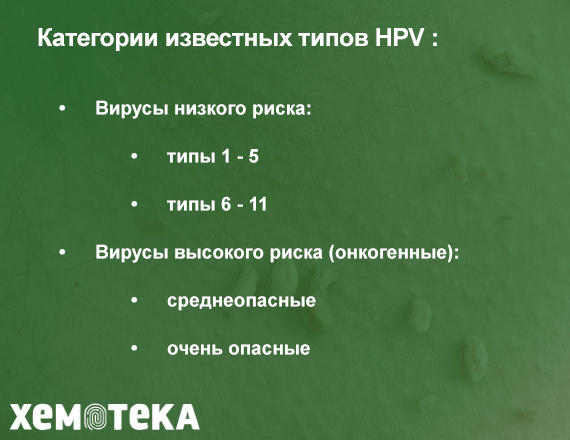 Классификация папилломавирусов Классификация папилломавирусов