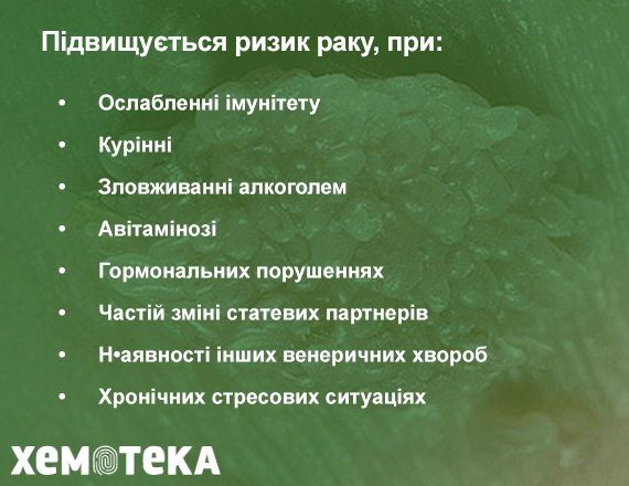 ризик ризик
