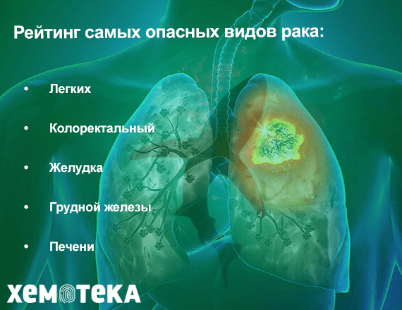 виды рака виды рака
