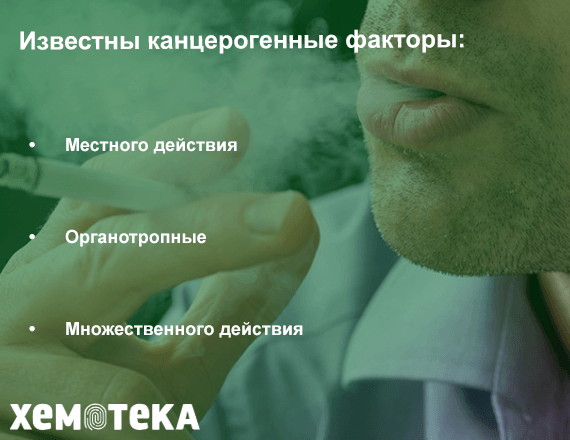 факторы факторы