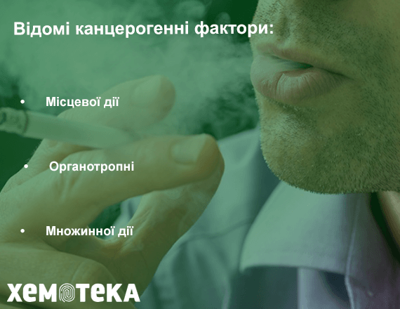 фактори фактори
