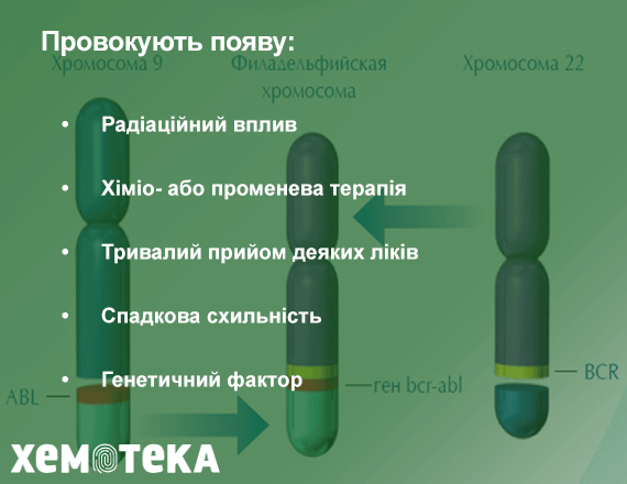 хромосоми хромосоми