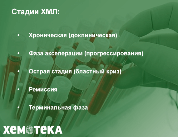Стадии ХМЛ Стадии ХМЛ