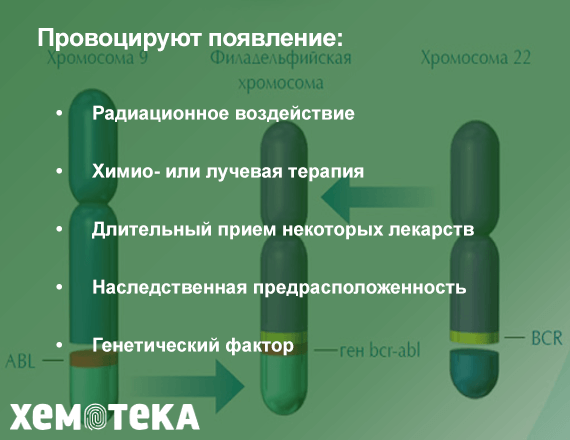 хромосомы хромосомы