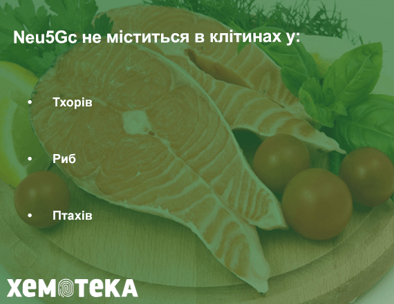 Neu5Gc Neu5Gc