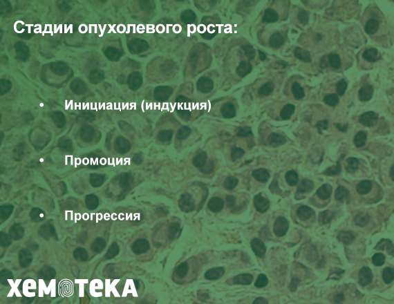 Стадии Стадии
