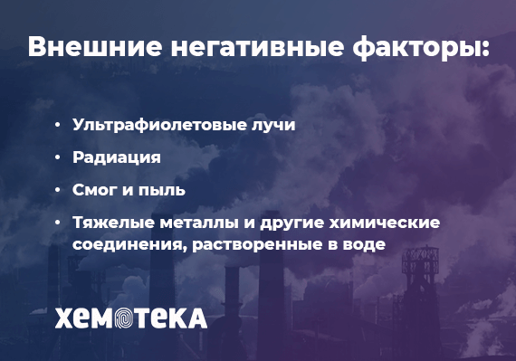 внешние факторы рака внешние факторы рака