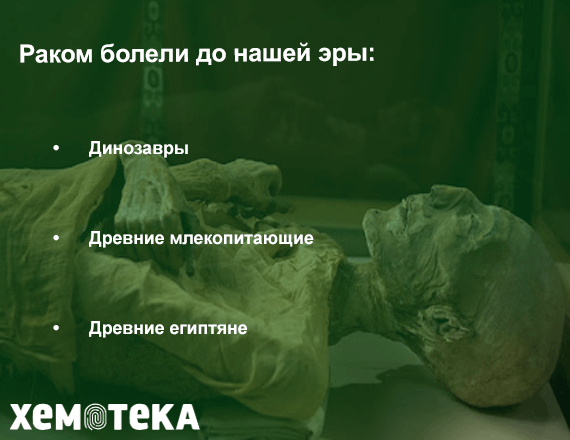 до нашей эры до нашей эры