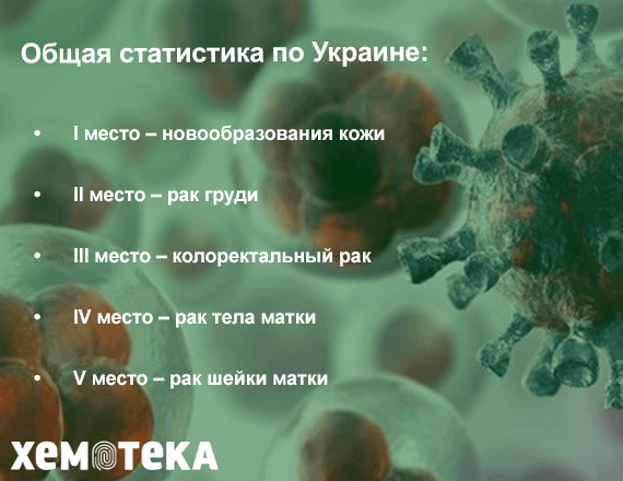 Общая статистика