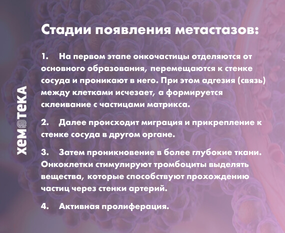 стадии появления метастазов стадии появления метастазов