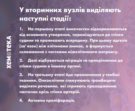 стадії появи метастазів стадії появи метастазів