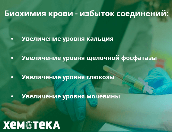биохимия крови биохимия крови