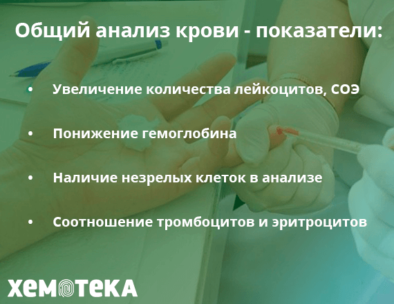 общий анализ крови общий анализ крови