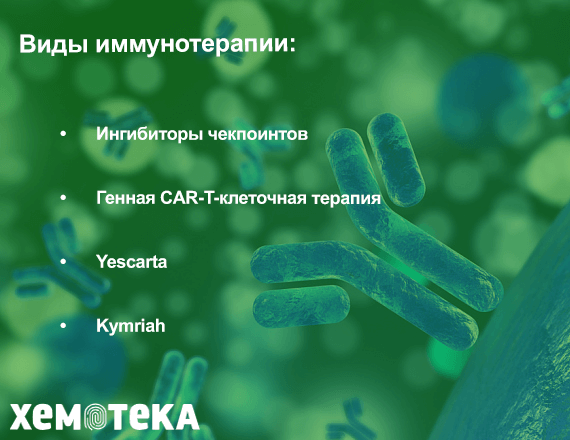 иммунотерапия иммунотерапия