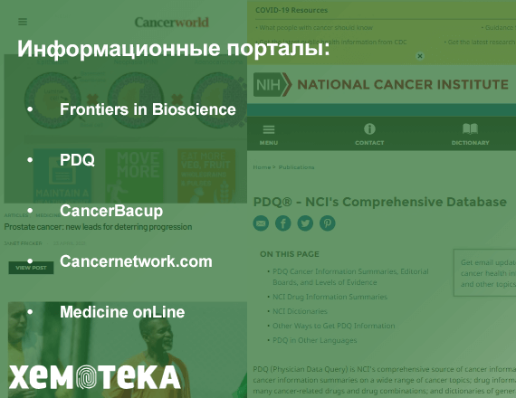 инфопорталы инфопорталы